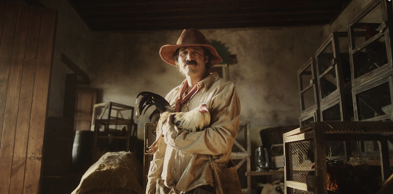 "EL GALLO DE ORO"